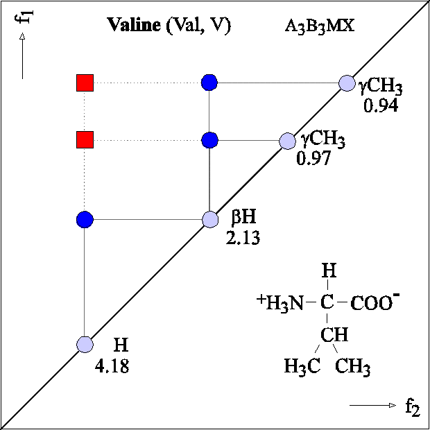 the amino acids